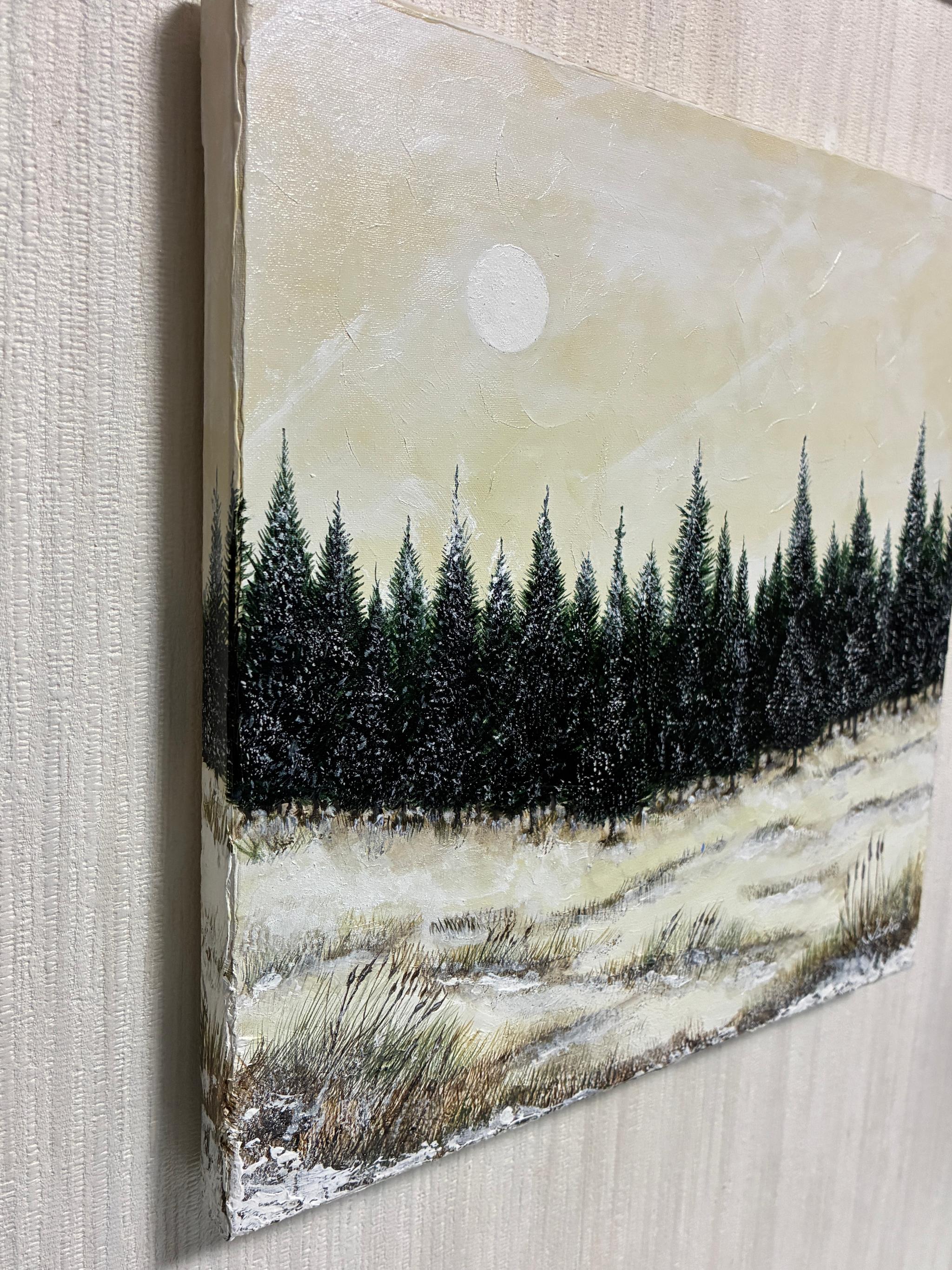 静かに満ちる | 3枚目